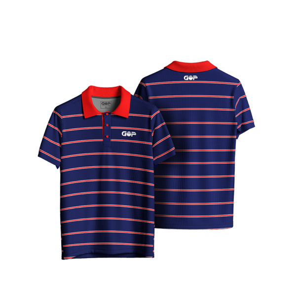 STRIPE SERIES BLUE